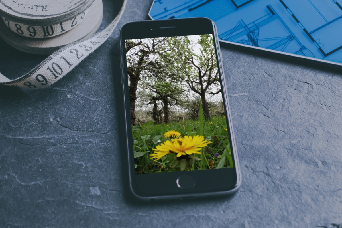 Fruitbomen digitaal documenteren
