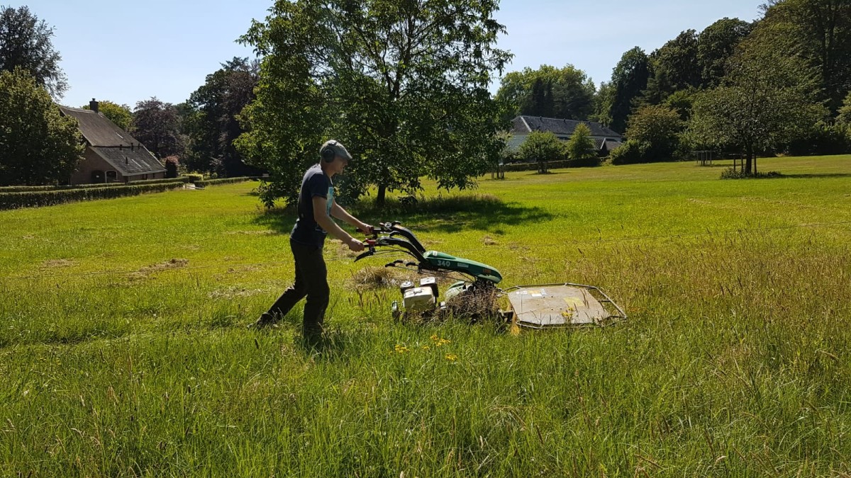 Vier beelden van de Spoortuin, voorheen een braakliggend stuk grond
