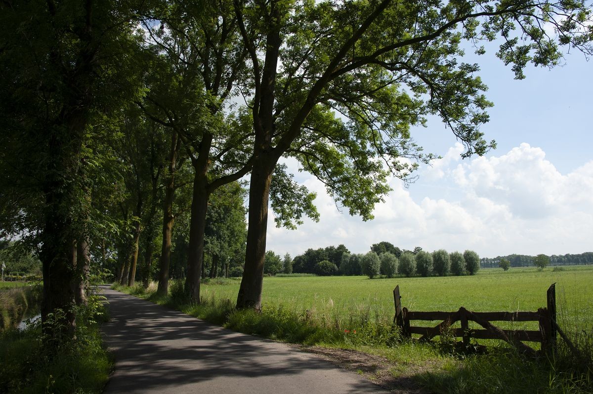 Het landschap bij het Kuilenburgerpad. Foto: Willem van Leuveren