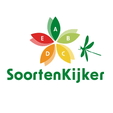Webinar Wat groeit en bloet er in de berm  