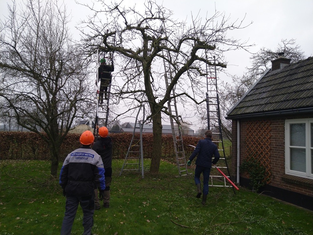 Veilig werken op hoogte