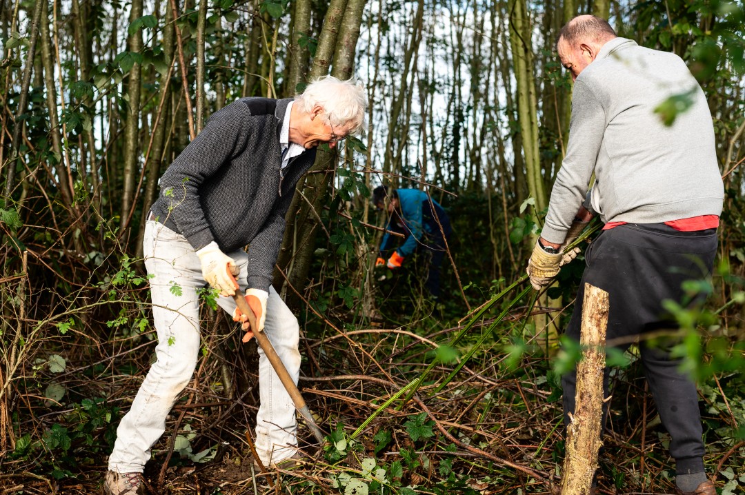 Natuurwerkdag op landgoed De Lieskamp bij Harsloërpad
