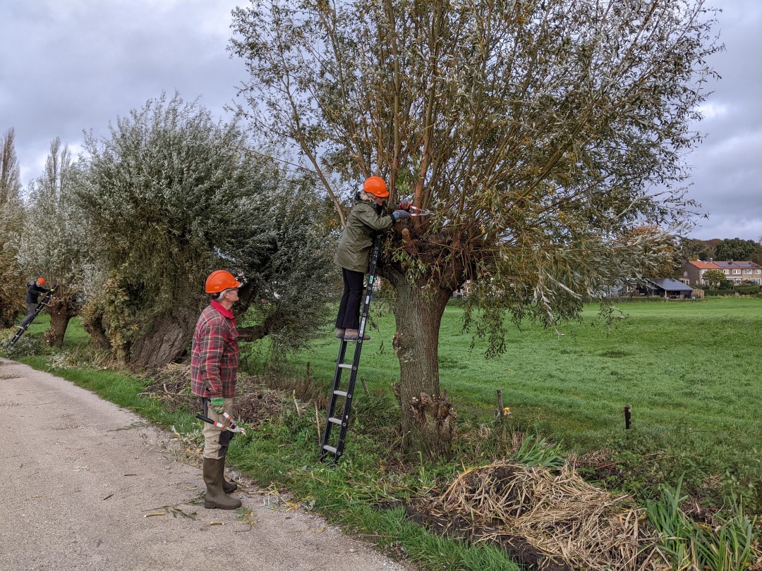 Natuurwerkdag op Rosandepad