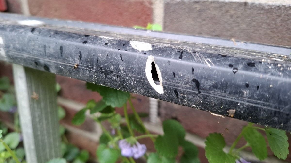 Schade door kettingzaag