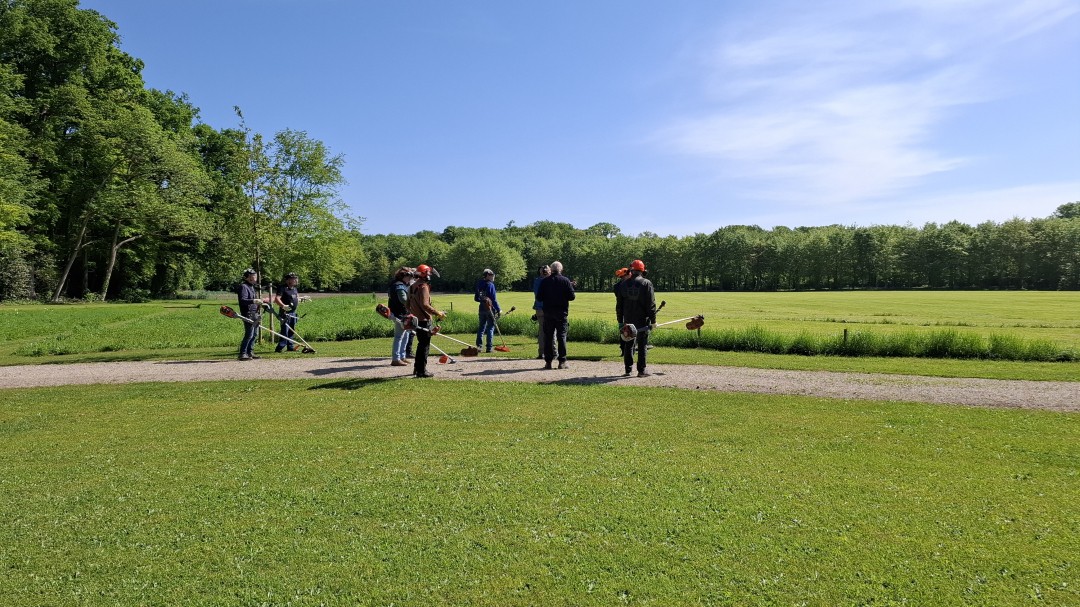 Bosmaaier cursus