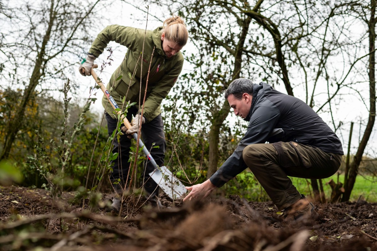 Help mee 200.000 bomen en struiken te planten!