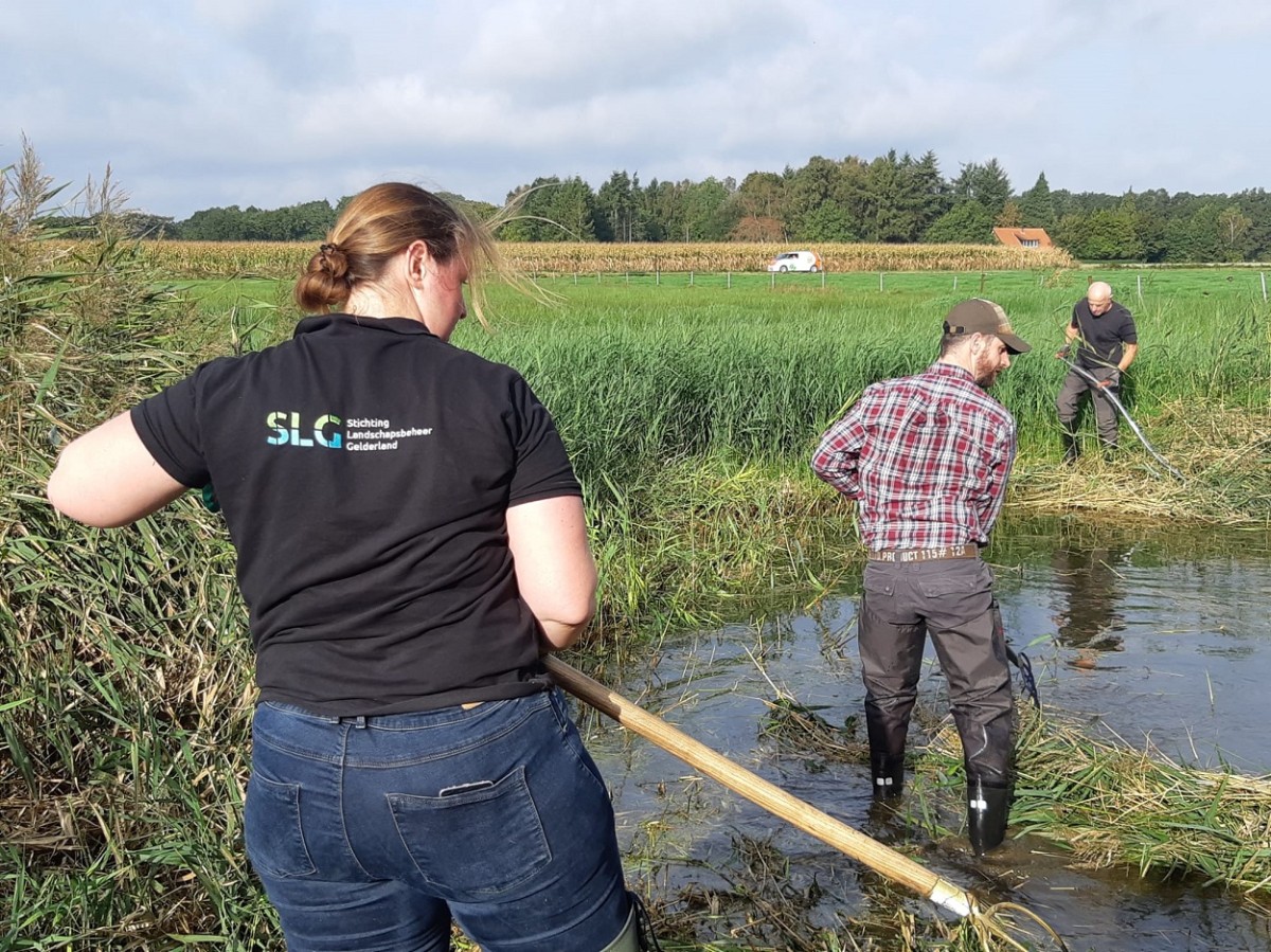 Poelenwerkgroep aan het werk